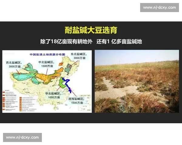 三无比赛乱象：失控的赛场与亟待破解的行业困局